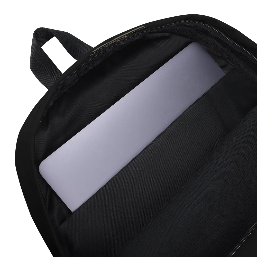 Aspect Backpack