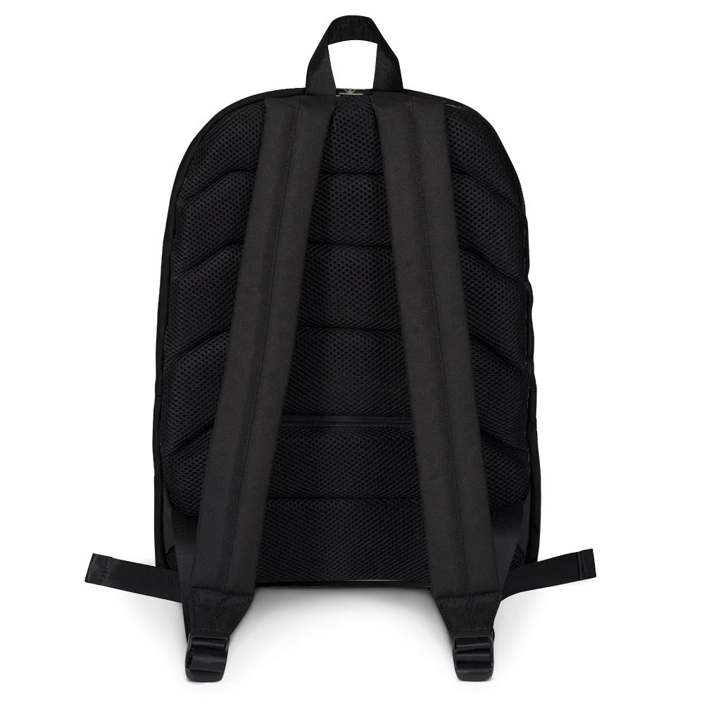 Aspect Backpack