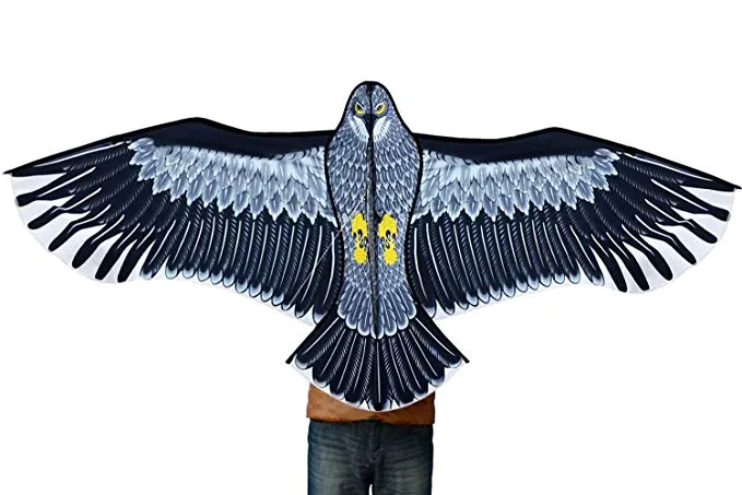 classic eagle kite for kids