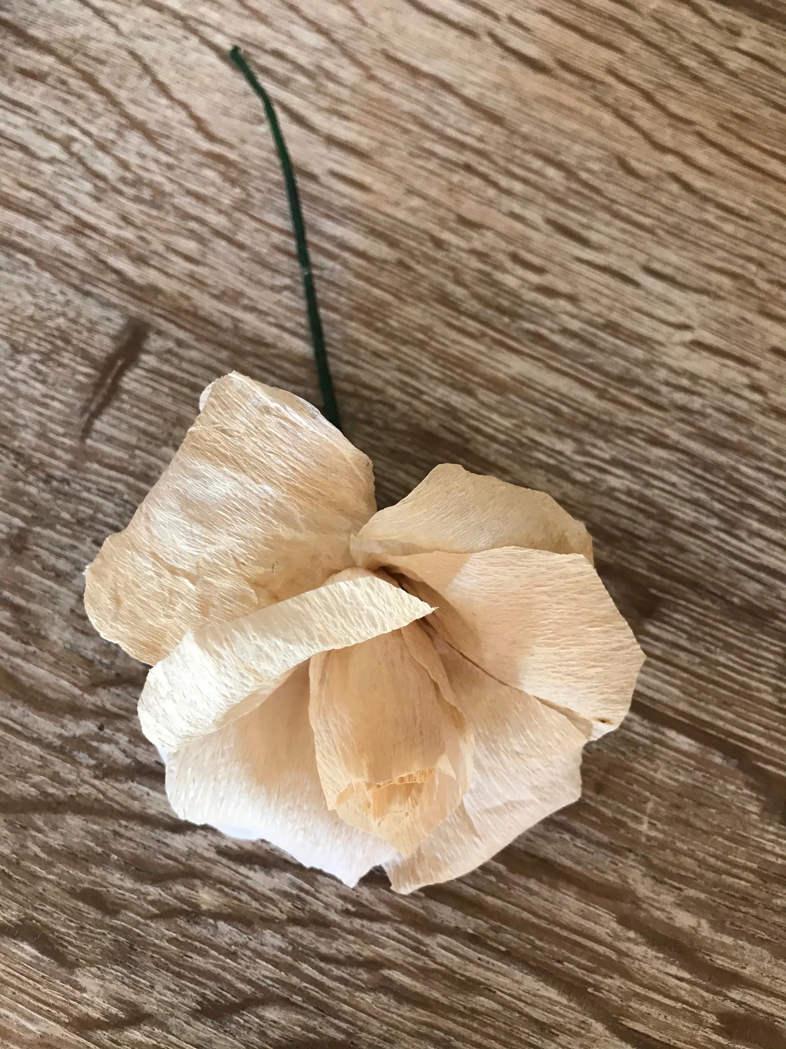 Crepe Paper Rose