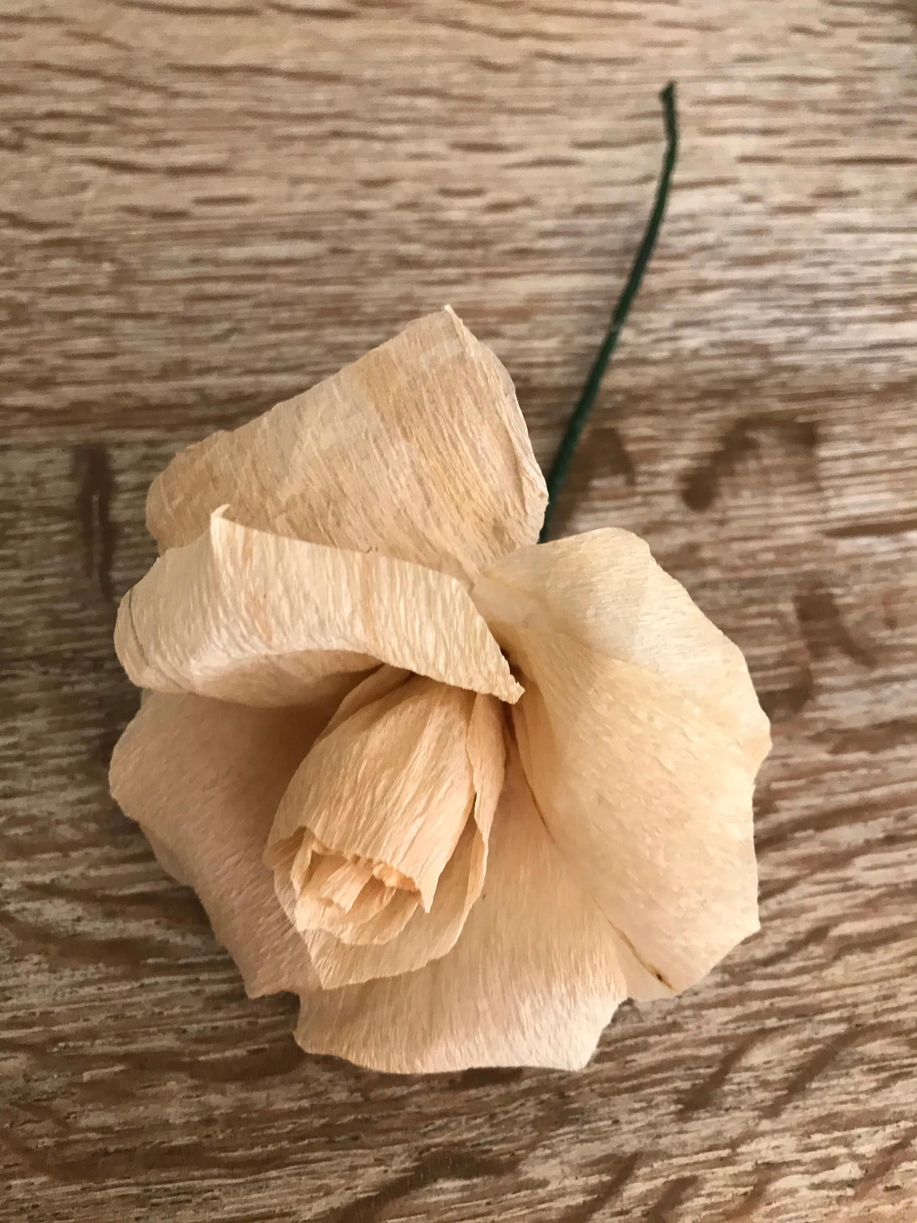 Crepe Paper Rose