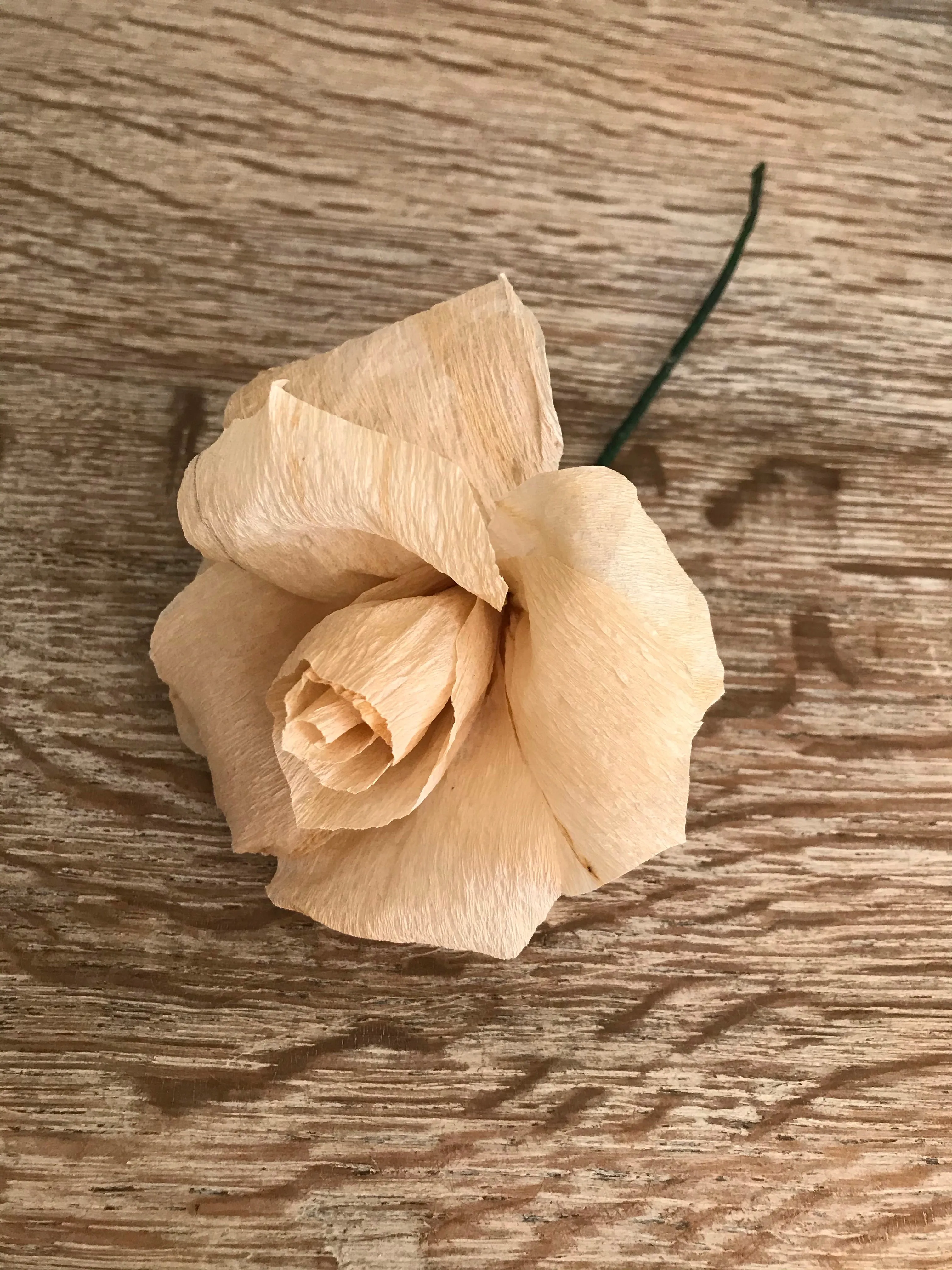 Crepe Paper Rose